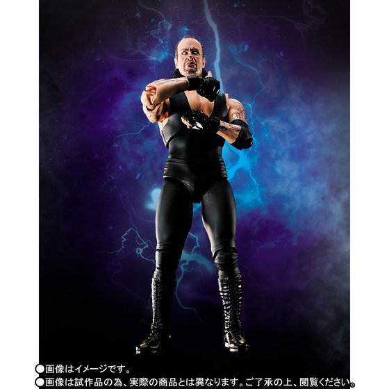 WORLD WRESTLING ENTERTAINMENT (WWE) - Undertaker Limited Edition [SH Figuarts]